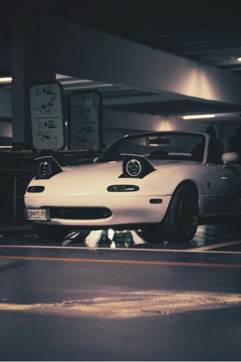 Dyno session